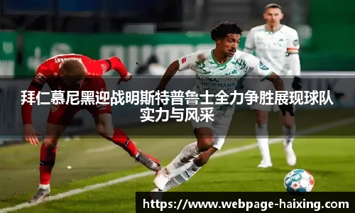 海星体育直播网址